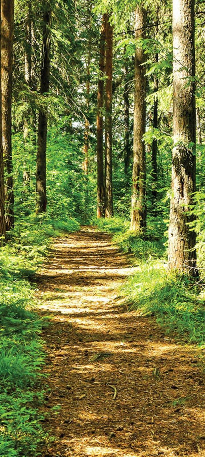 Godrej Sunrise Estate Mobile Banner 1